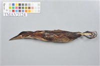 藏品(秋小鷺)的圖片